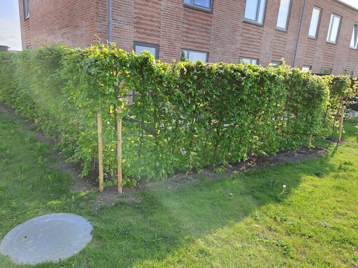 Efter