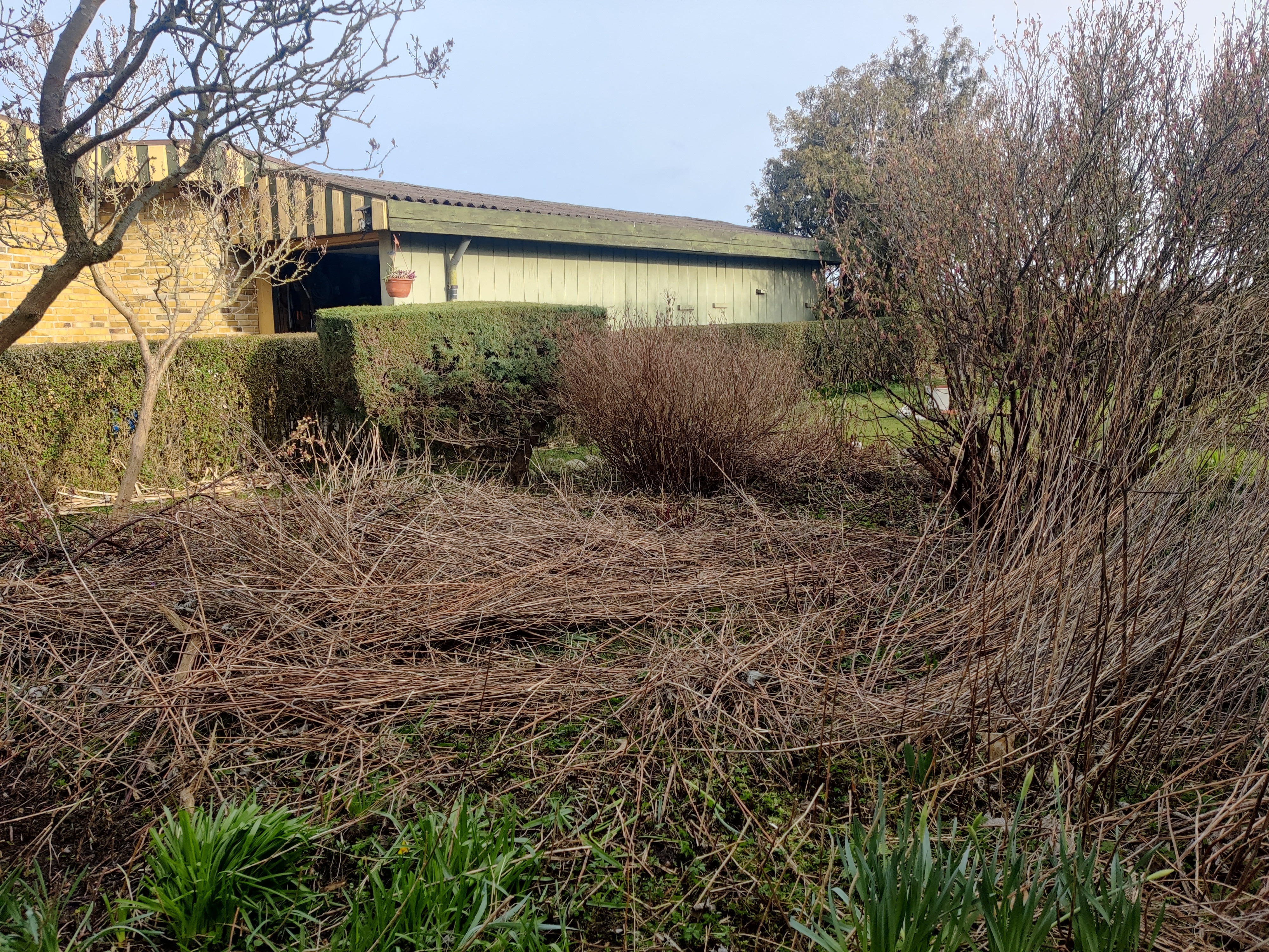 Før