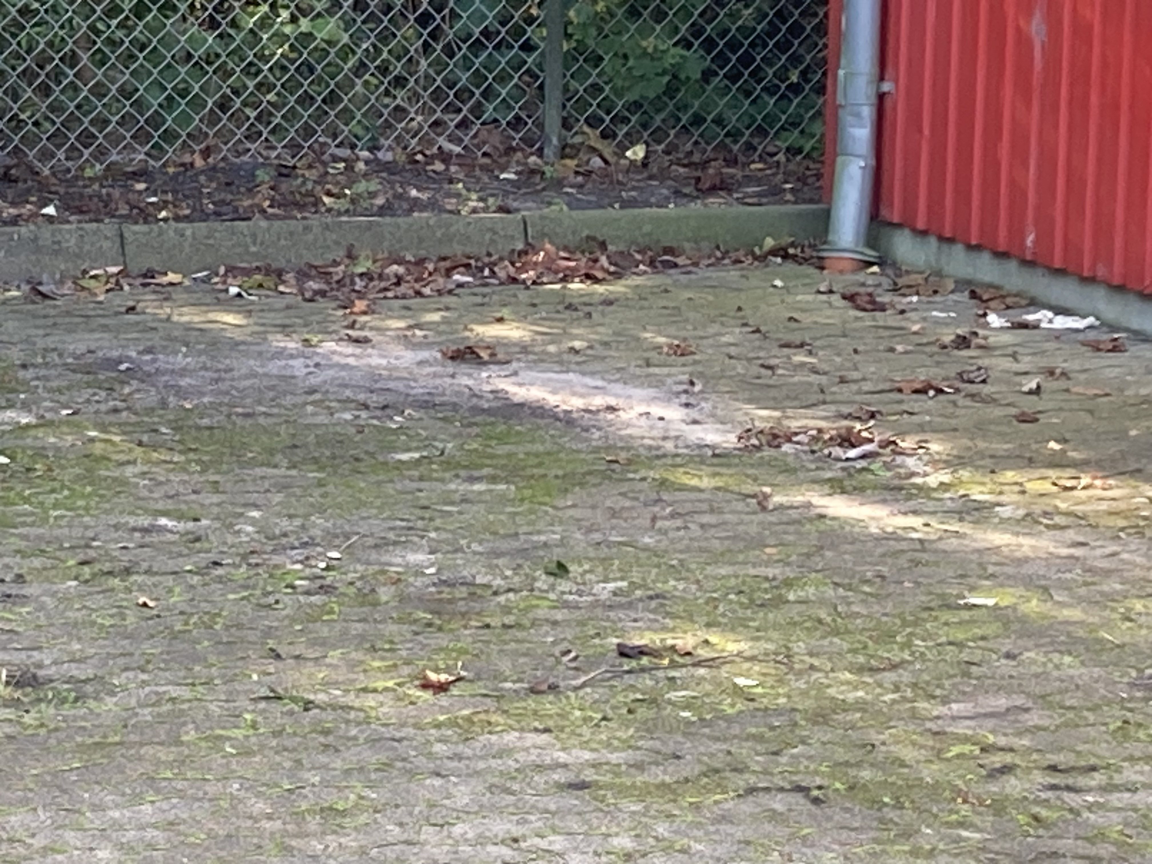 Før