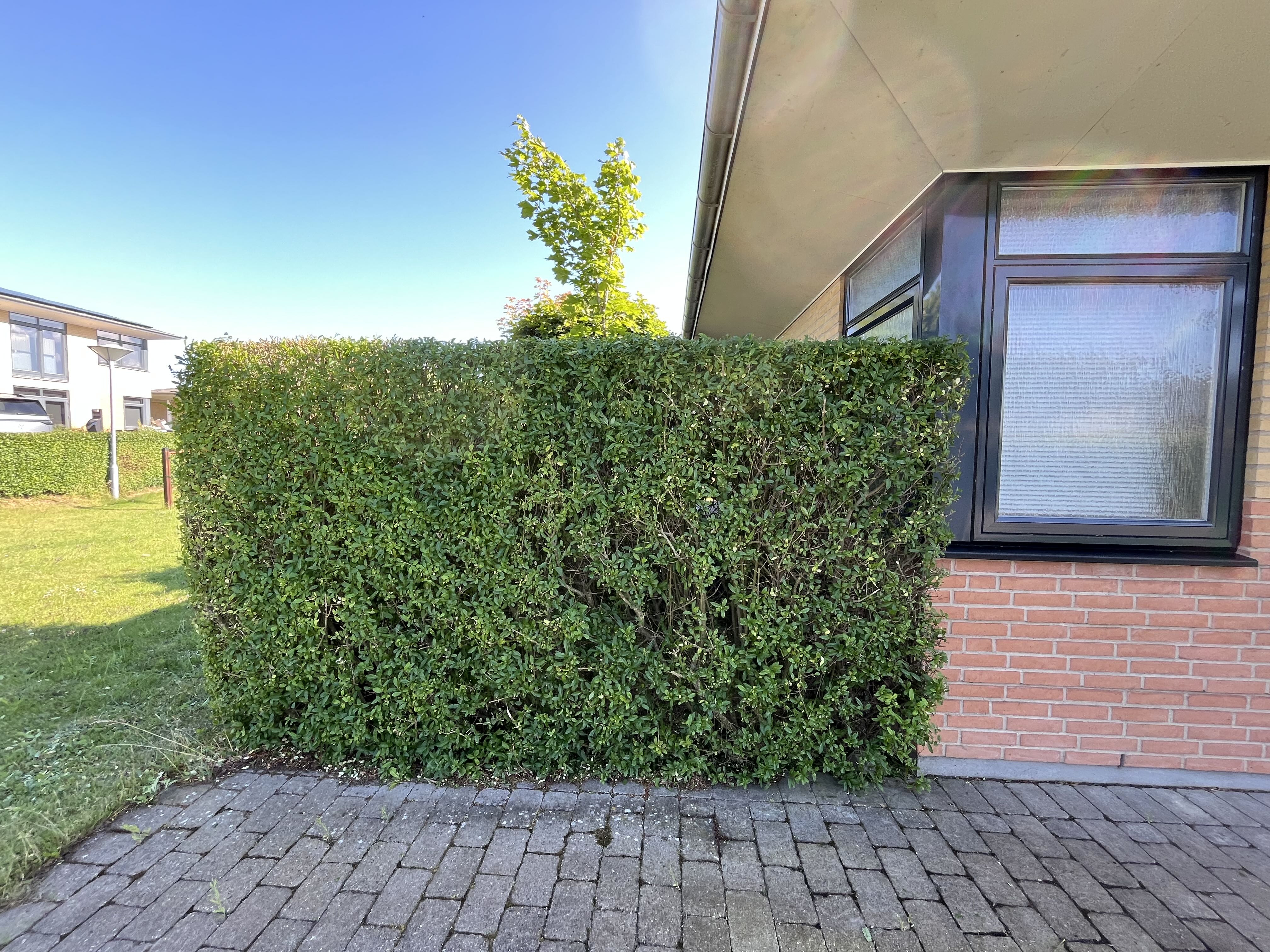 Efter