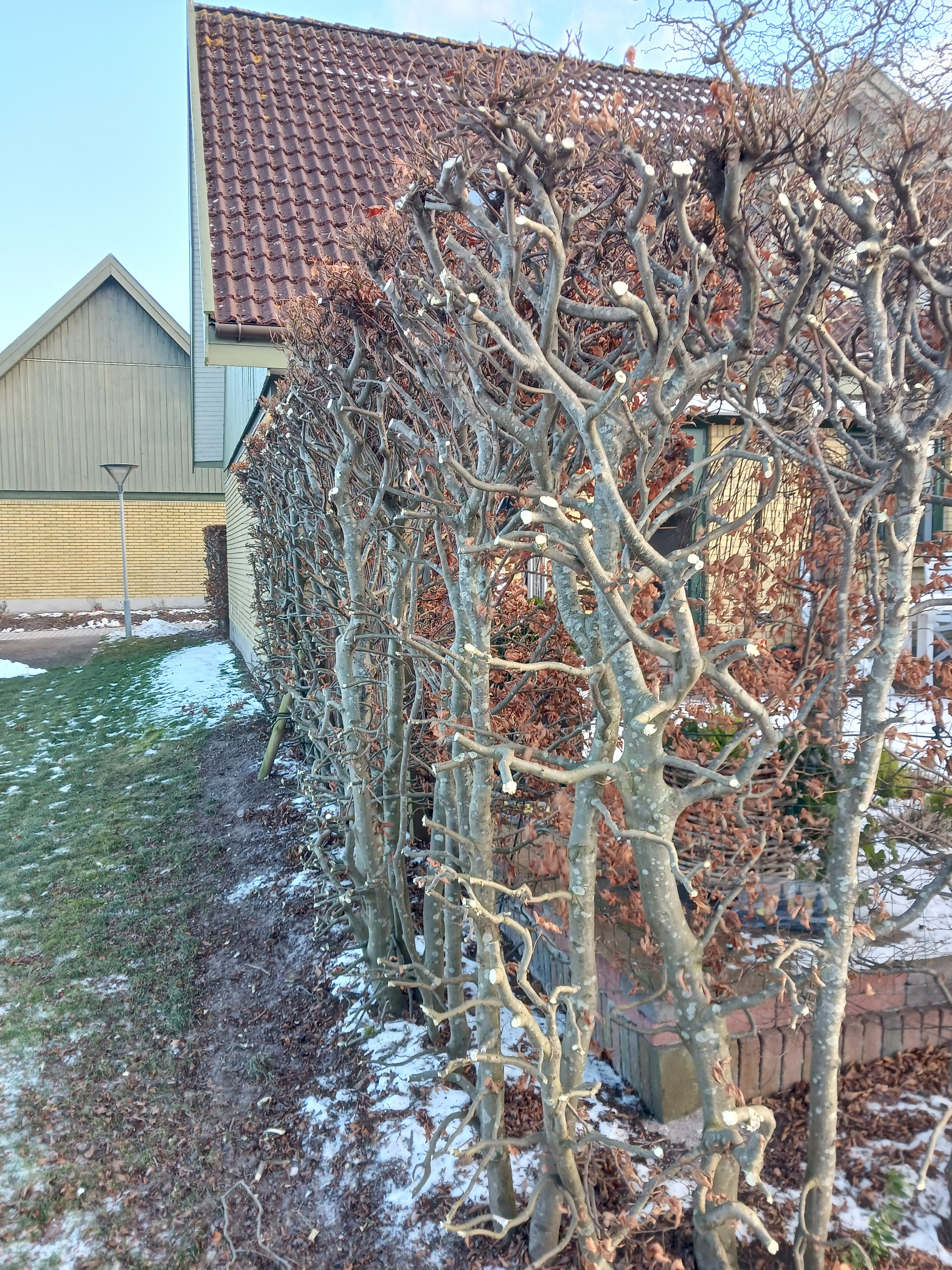 Efter
