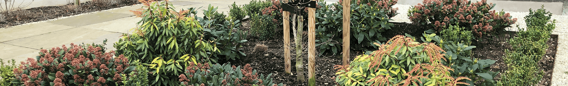 Gribskov Anlægsgartner ApS