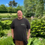 Profil billede