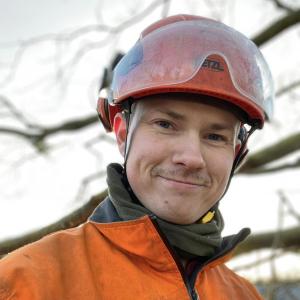 Den Jyske Arborist