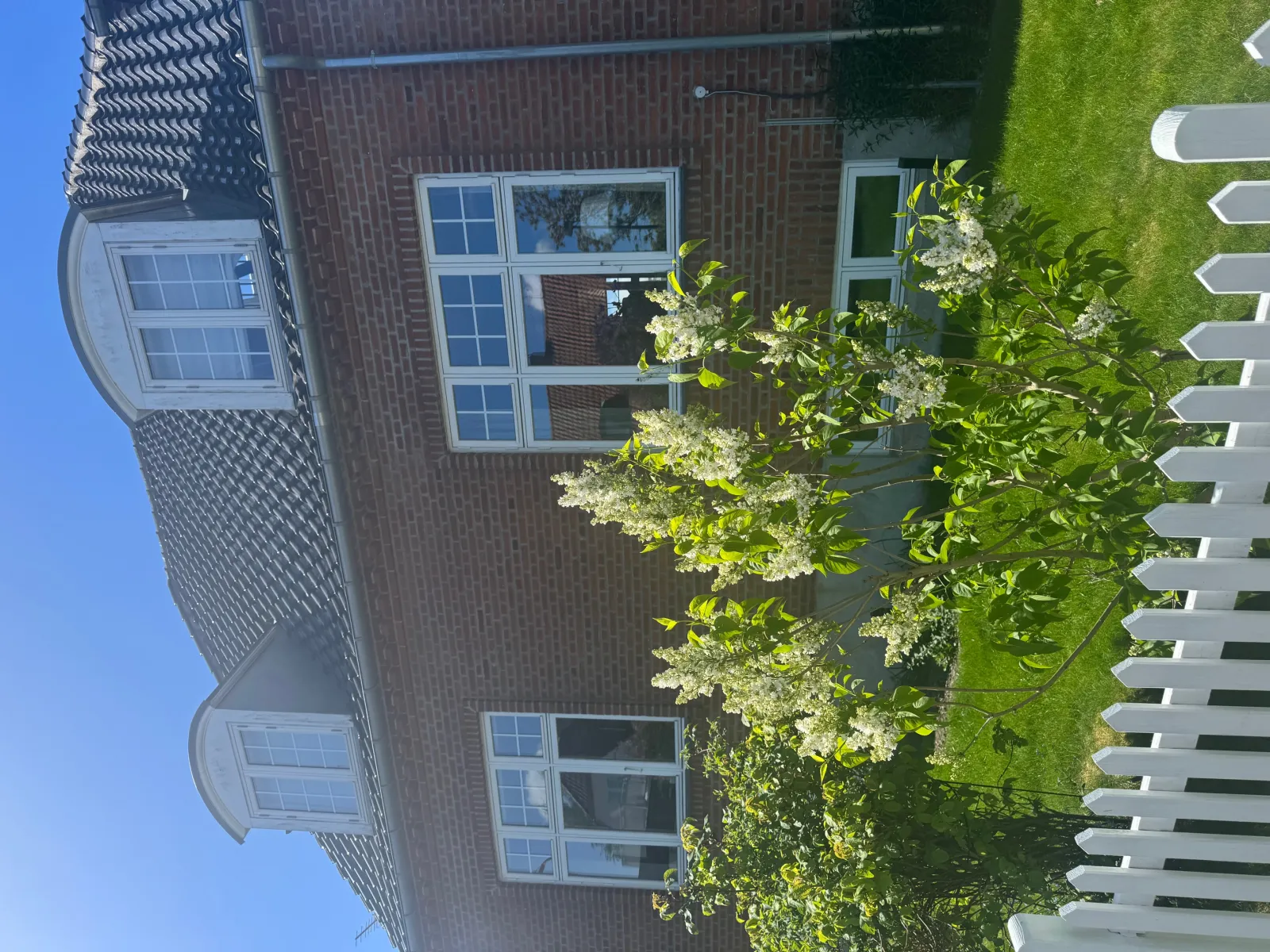 Før