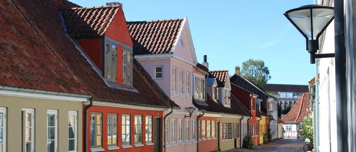 malerfirma Odense