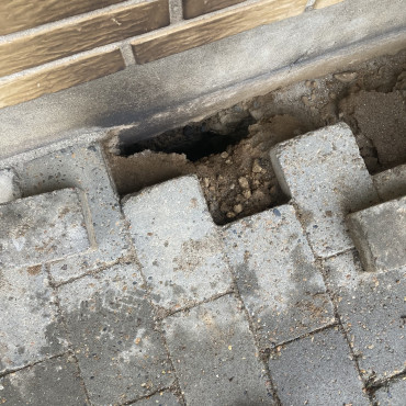 Opgravning ifht rotter samt sikring af ingen adgang for rotter fremadrettet